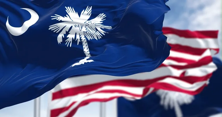 Close-up of the South Carolina state flag with a crescent and palmetto tree, American flags blurred in background.